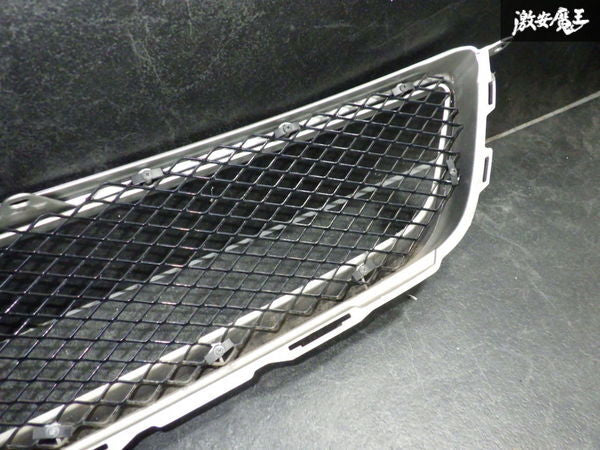 Altezza Elegant Sports Mesh Grille 1C0 MSM Finish