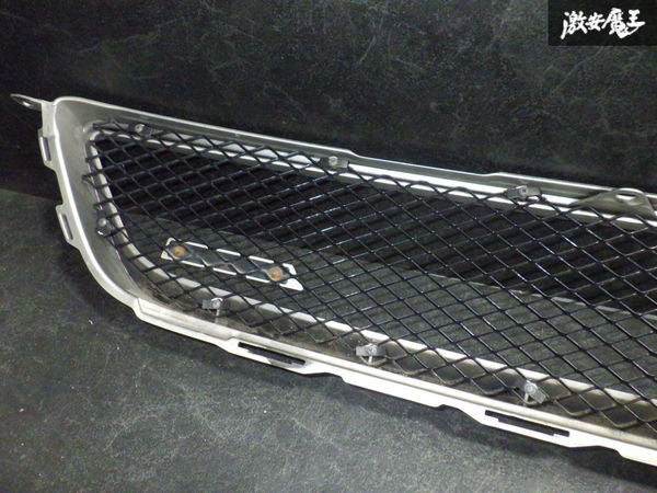 Altezza Elegant Sports Mesh Grille 1C0 MSM Finish